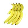 GuCra Banana Lifelike Food Sample Fruit Model (8 AA Count)