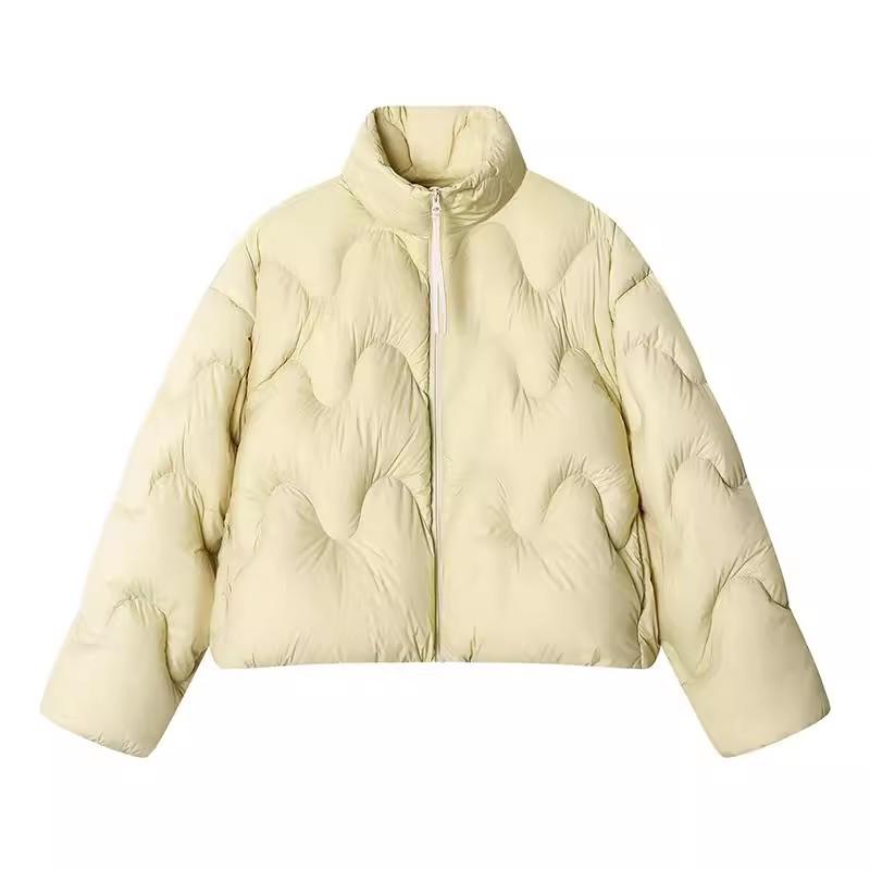 Simple Literary White Duck Down Jacket Women's Winter New Fashion Stand-up Collar Small Light Casual Style