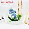 Simulated Flower Phalaenopsis Potted Moon Shaped Decorative Wall Pendant For Wedding And Garden Decoration
