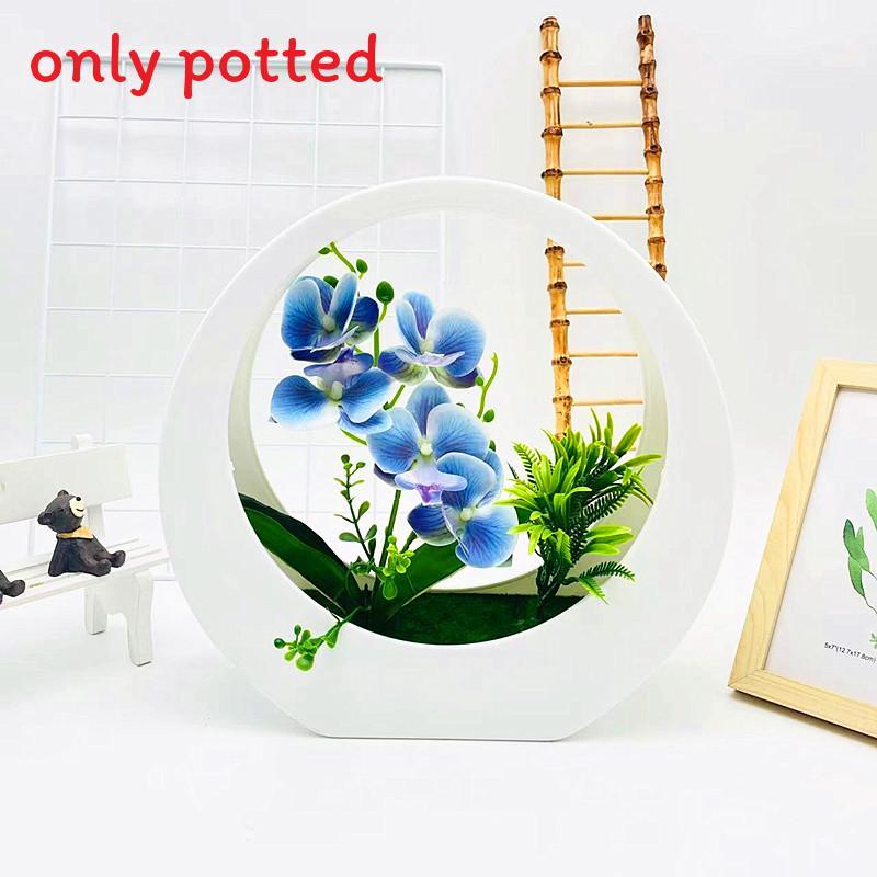 Simulated Flower Phalaenopsis Potted Moon Shaped Decorative Wall Pendant For Wedding And Garden Decoration