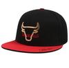 NBA NBA Chicago Bulls Outline Metal Snapback N255AP614P
