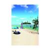 Summer Seaside Beach Photography Backdrop Tropical Ocean Palm Tree Sand Scenic Background for Photo Studio Portrait Video Shoot Party Decor Props