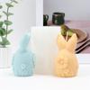 Cute 3D Easter Rabbit Egg Shape Candle Mold DIY Floral Embossed Animal Plaster Decor Tool Festivals Crafts Easter Theme