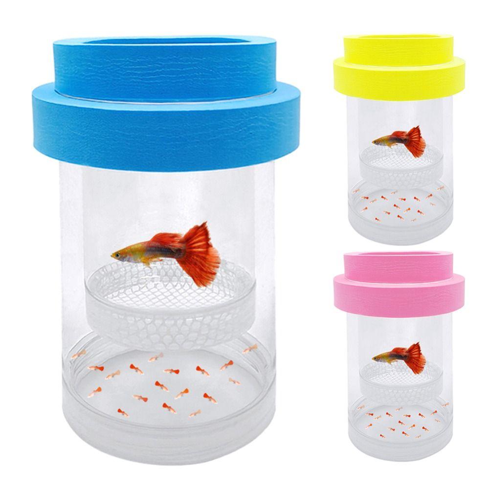 Plastikgitter Schwimmende Brutbox Transparent Fischbrüter Inkubator Züchterbox Aquarium