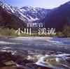 CD HEALING  Shizen On Ogawakeiryu Japan ObiSound Effects  Nature Used