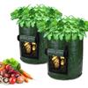 Practical And Lightweight Garden Plant Tools For Homegrown Food On Balconies And Patios