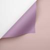 Floral Film - Powder Pink + Lilac - Sheets 58X58 Cm - 20pcs