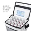 Asahi Koyo Insulated Soft Cooler Bag, 18L Aluminum, Holds 19 500ml PET Bottles, Includes Ice Pack Pocket, Compact, Foldable, Pack of 1