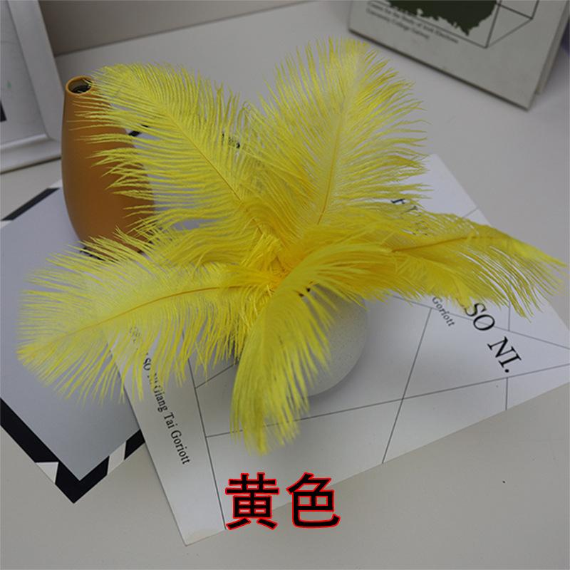 10PCS 20-25Cm Ostrich Feather Stage Performance Feather Handmade Diy Jewelry Decorative Material Ostrich Hair