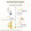 DOVE Intensive Repair Amino Acid Shampoo Set