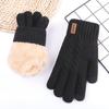 Double Layer Warm Touch Screen Gloves for Men and Women Winter Velvet Gloves Thickened Anti Cold Outdoor Knitted Gloves