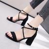 New Sandals Women's Summer Medium Heel Thick Heel Thick Sole Fairy Style Skirt Versatile Student Roman High Heels