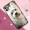 Westie Dog Phone Case For iPhone 18 17 Pro Max 14 15 16 Plus 11 Pro Max 12 13 Mini 16e 17 Air Back Cover