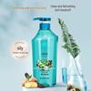 Bee & Flower Fresh & Refreshing Anti-Dandruff Shampoo