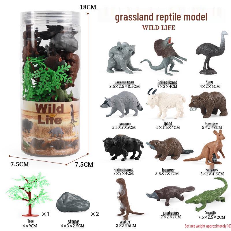 Pediatric Cognitive Simulation: Mini Salmon Growth Cycle Toy