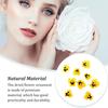12 Stück Basteln Schlichter Stil Machen Zubehör Make-up Ornament Gepresste Blumen Handwerk Schmuck Dekor Zubehör