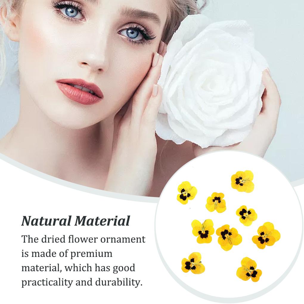 12 Stück Basteln Schlichter Stil Machen Zubehör Make-up Ornament Gepresste Blumen Handwerk Schmuck Dekor Zubehör