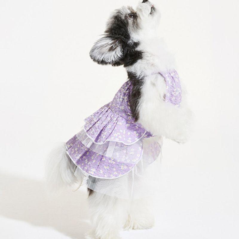MIMINKO Baby's Breath Strap Dress [DW3MO1300]