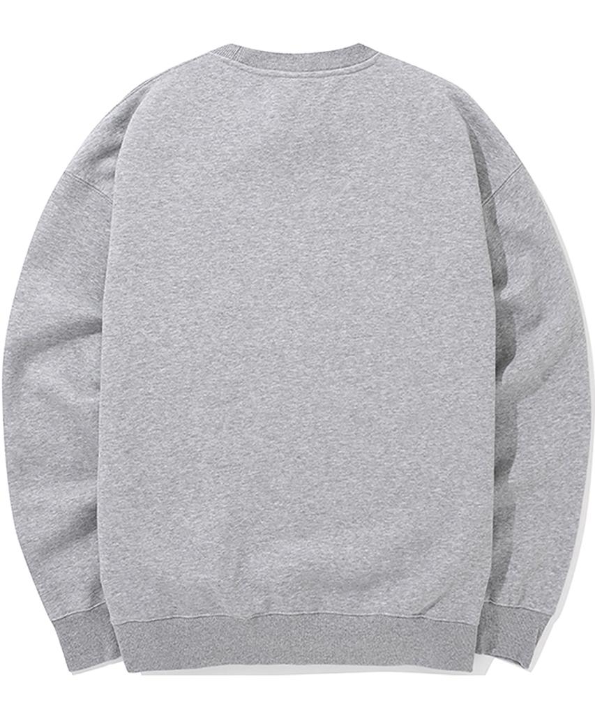 COLUMBIA UNIVERSITY 1754 Arch Logo Fleece Sweatshirts M Grey