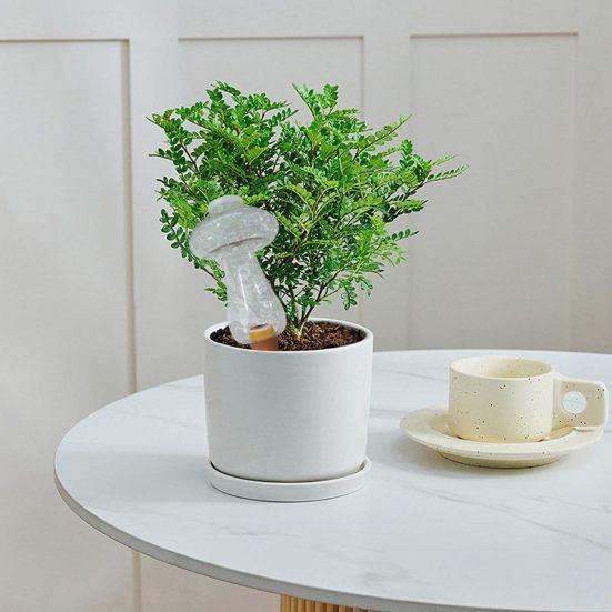 Arroseur de fleurs de 300ML, pointes d'arrosage automatique, dispositifs d'arrosage automatiques transparents pour plantes, goutteurs automatiques, boule de verre de champignon, plantes de jardin d'intérieur et d'extérieur