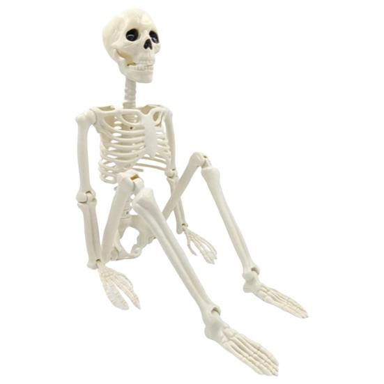 Esqueleto de Halloween de cuerpo completo con articulaciones articuladas, esqueleto humano realista, decoraciones para fiestas, casas embrujadas, truco o trato, juguete festivo