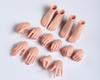 [TOYBARJAPAN] 16 Schaal Figuur AccessoiresANT Mooi Vrouwelijk Lichaam TP305 7 Delen Kant-en-Klaar Schattige Vuist Hand en Voet Set (Normale huid)