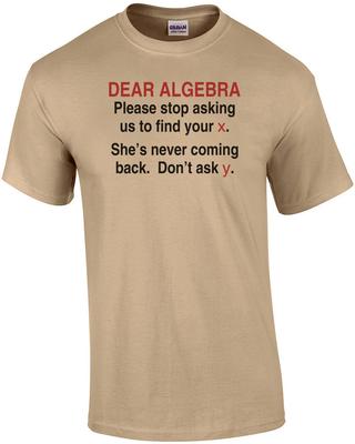 Dear Algebra... Shirt