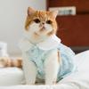 Pet Clothing Spring and Summer Thin Breathable Lace Polka Dot Dress Into Kitten Dog Summer Cat Clothes