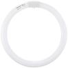Fluorescent Lamp Round Shape 32W Cool Color Paruk FCL32ECW30XF2