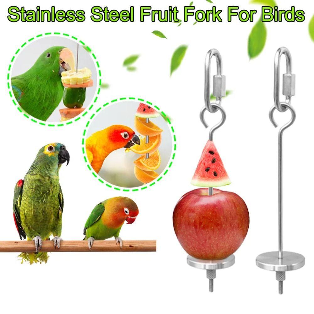 2Pcs Stainless Steel Bird Feeder for Cage Rust-proof Parrot Fruit Skewers Bird Foraging Toys Birds