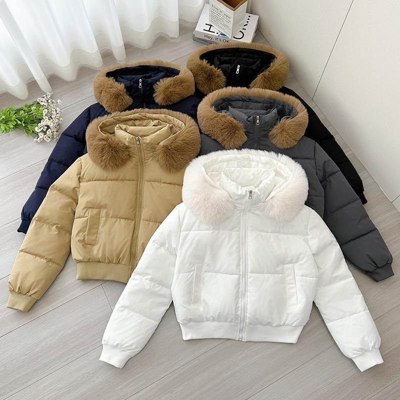 Design Sense Hooded Fur Collar Cotton Clothes Women's Winter New Thickened Warm Short Bread Clothes Jacket