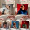 Hot Chill Handsome Singer L-Lauv Cushion Cover Pillowcase Short Plush Invisible Zipper Room Sofa Cushion Cover
