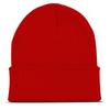 Personalized Custom Beanies Hats with Embroidery Text Logo for Men Women Warm Winter Knitted Cuff Beanie Cap Dropshipping