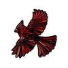 Broche émaillée Faune Mignon Animal Broche revers Colibri coloré Renard Loup Broche