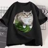 Meme Cat Idiot Watermelon Unisex Women Tshirt a Hilarious Watermelon Printed Tshirt Funny Short Sleeved Round Neck Couples Top
