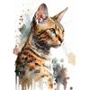 Retro Elegant Süß Aquarell Siamkatze Englische Kurzhaarkatze Kunstposter Öl Leinwand Gedruckte Wandmalerei Wohnzimmer Schlafzimmer Heimdekoration