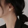 Sun Flash Diamond Earrings Trendy Student Popular Elements Niche Design Sense Three-Dimensional Star Stud Earrings Women