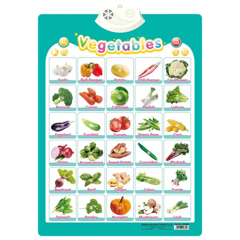 Kinder Englisch sprechendes Poster Alphabet Zahlen Tiere Elektronisches Sprachbuch Wandbild für Kleinkinder Kinder Lernfokus Spielzeug