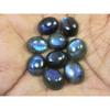 10X12MM Natural Labradorite Blue Fire Oval Cabochon Loose Gemstone 09Pcs Lot C-1050