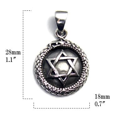 Hexagram Snake Reptile Pendant Pendant Top Silver 925
