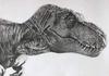 SanDoll Dinosaur Figure Realistic Model Jurassic 30cm Reptile Carnivore Kids Toy Gift Display (Tyrannosaurus Type 1)