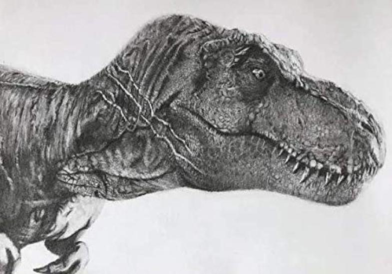SanDoll Dinosaur Figure Realistic Model Jurassic 30cm Reptile Carnivore Kids Toy Gift Display (Tyrannosaurus Type 1)