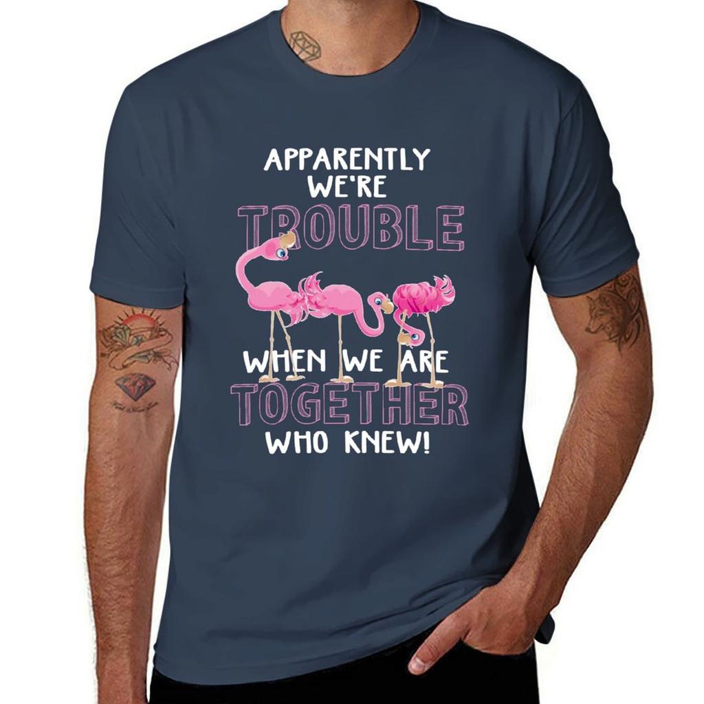 Apparently Were Trouble When We Are Together Flamingo Tee Shirt TShirt Trendy Casual Short Sleeve Shirt