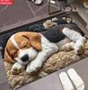 Tappetino per porta a forma di cane che dorme 2D Piatto Lavabile in lavatrice Tappetino per esterni Adatto per Camera da letto Soggiorno Ingresso Decorazione della casa Tappeto