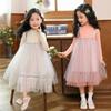 Children's Long Sleeve Gauze Princess Dress Pompadour Dress Summer Autumn Girls Dress