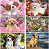 DIY 5D Diamant Peinture Chien &; Fleur diamant broderie pleine ronde forage Animal mosaïque strass point de croix décor à la maison cadeau