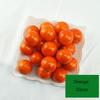 20pcs/Lot Simulation Mini Mini Fruit Model Home Furnishing Holiday Party Photo Props DIY Handmade Decoration Apple Strawberry