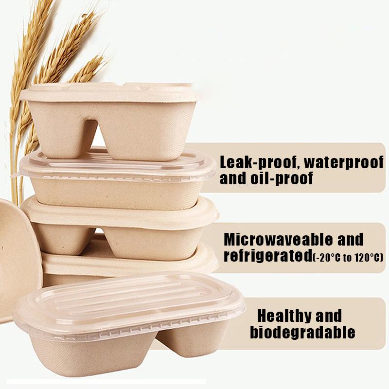 10/50Pcs Oval Sugarcane Bagasse Boxes Eco-Friendly Biodegradable Food Containers W/Pet Lid