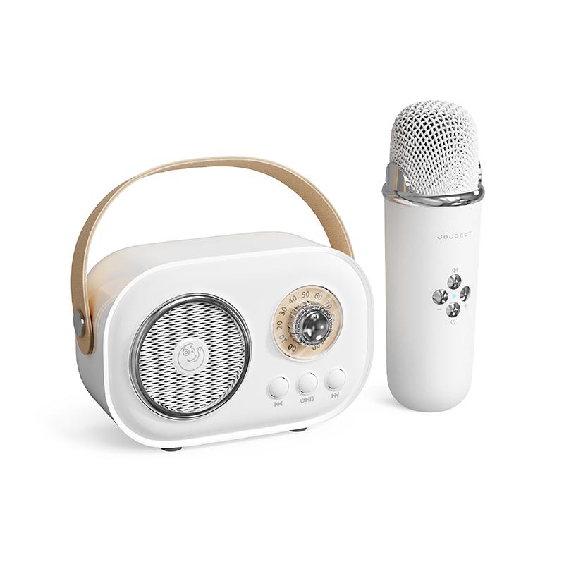 VAORLO Bluetooth-Lautsprecher mit kabellosem Mikrofon, unterstützt Karaoke, TF-Karte, FM-Wiedergabe, HiFi-Subwoofer, hohe Kompatibilität, Freisprechen