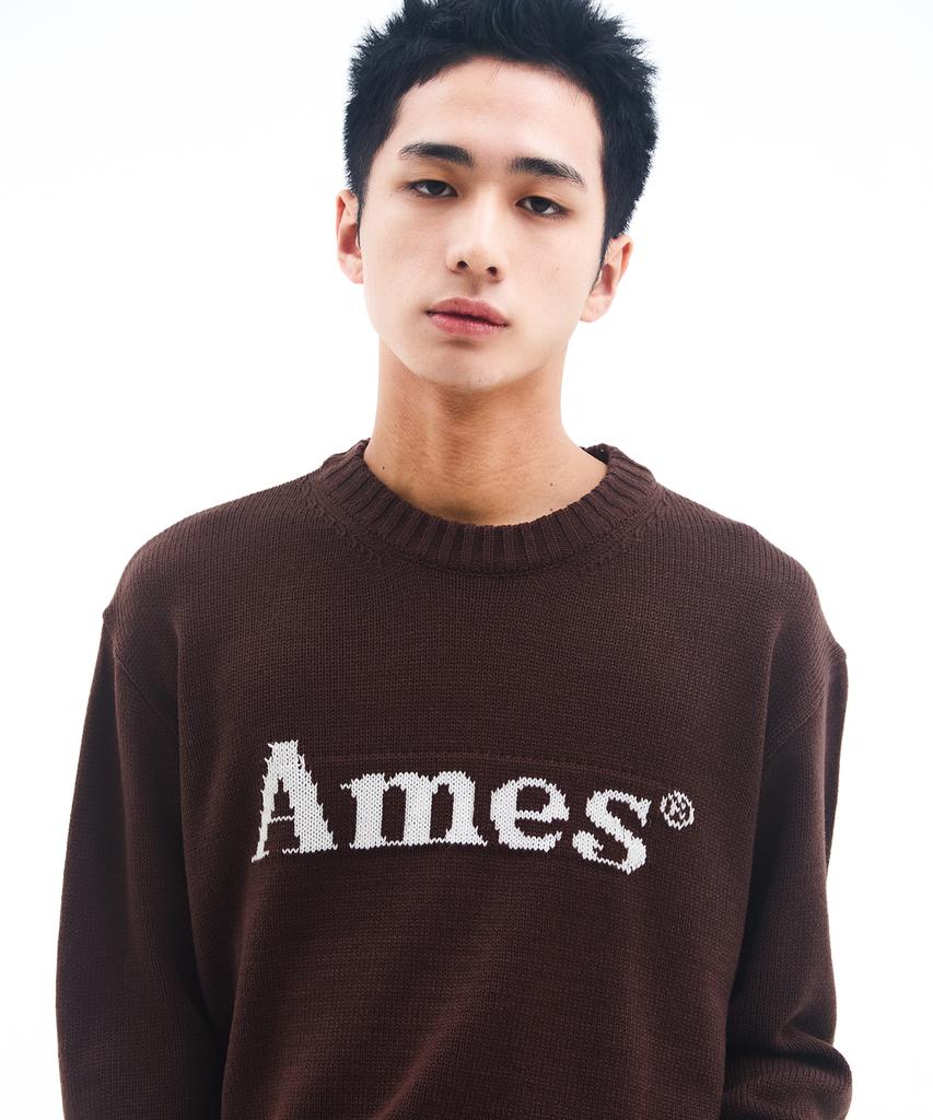 AMES-WORLDWIDE Basic Pullover Knit Brown
